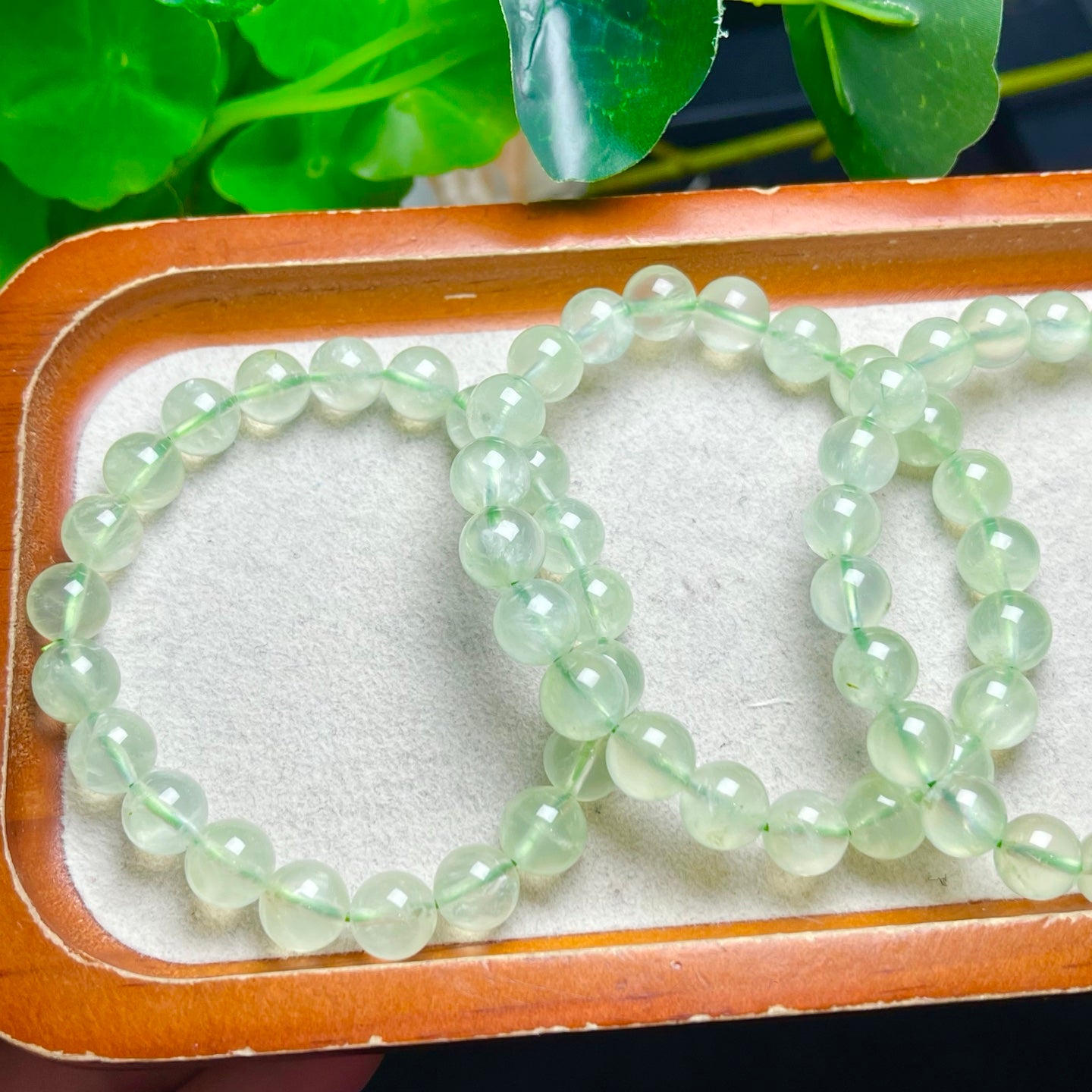 Prehnite Single Loop Crystal Bracelet
