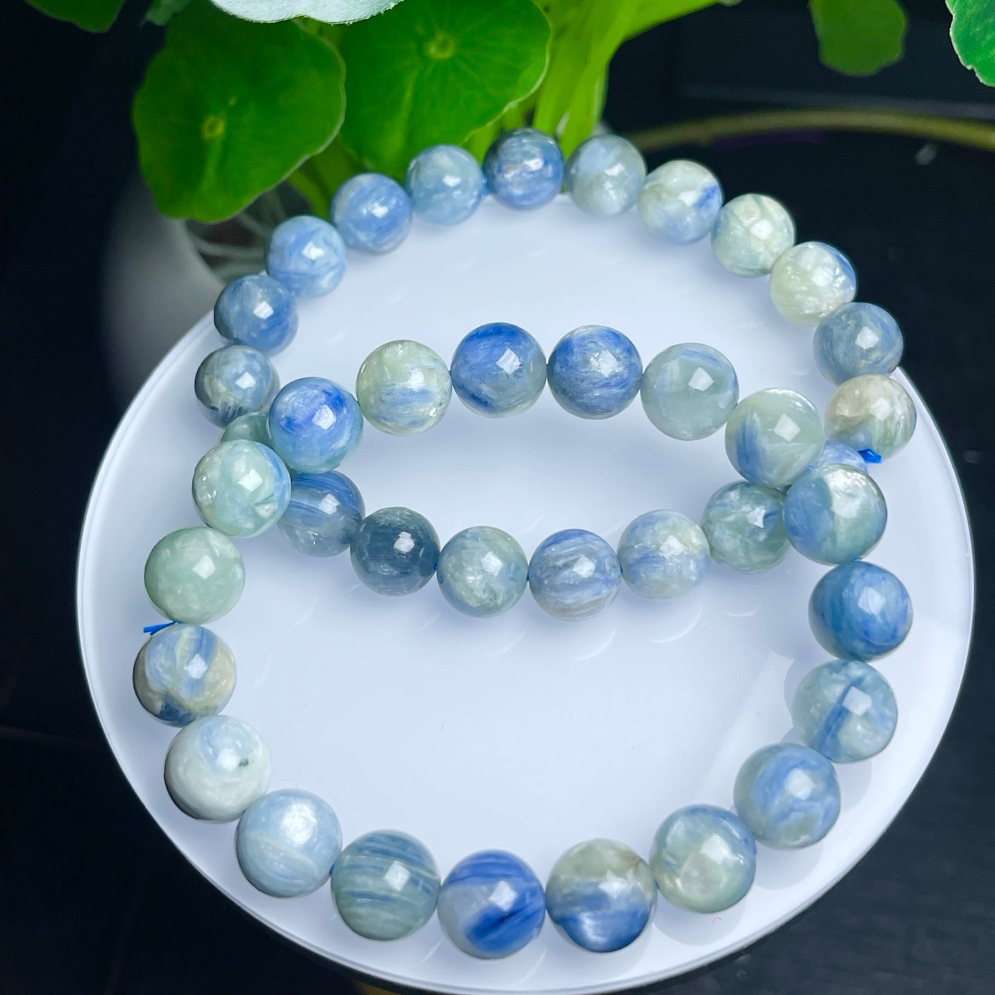 Kyanite Solo Loop Bracelet