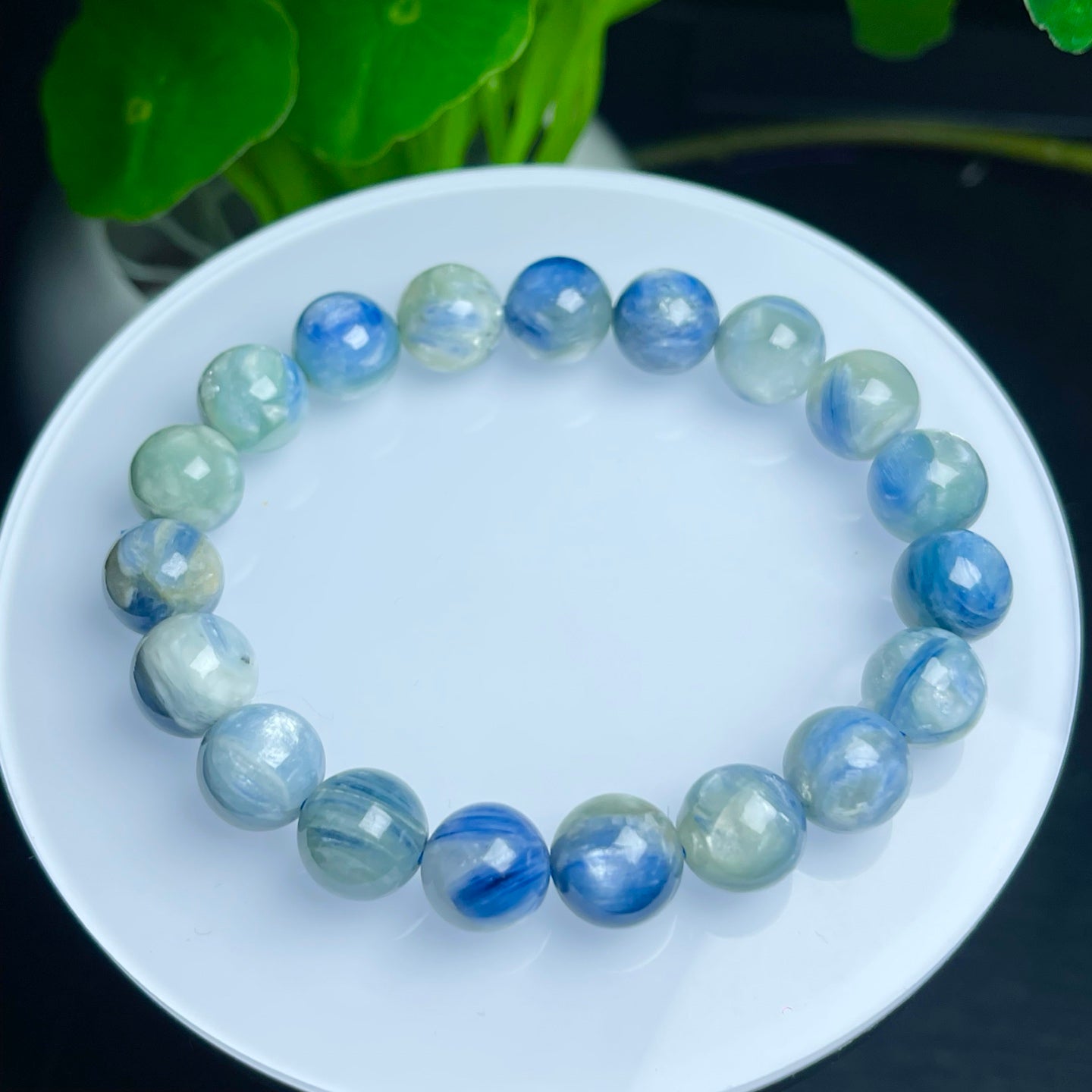 Kyanite Solo Loop Bracelet