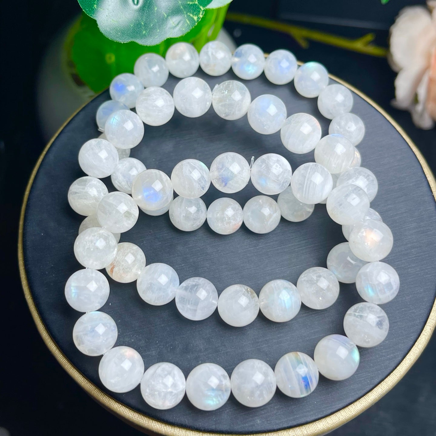 Falkland Island Moonlight Single Circle Crystal Bracelet