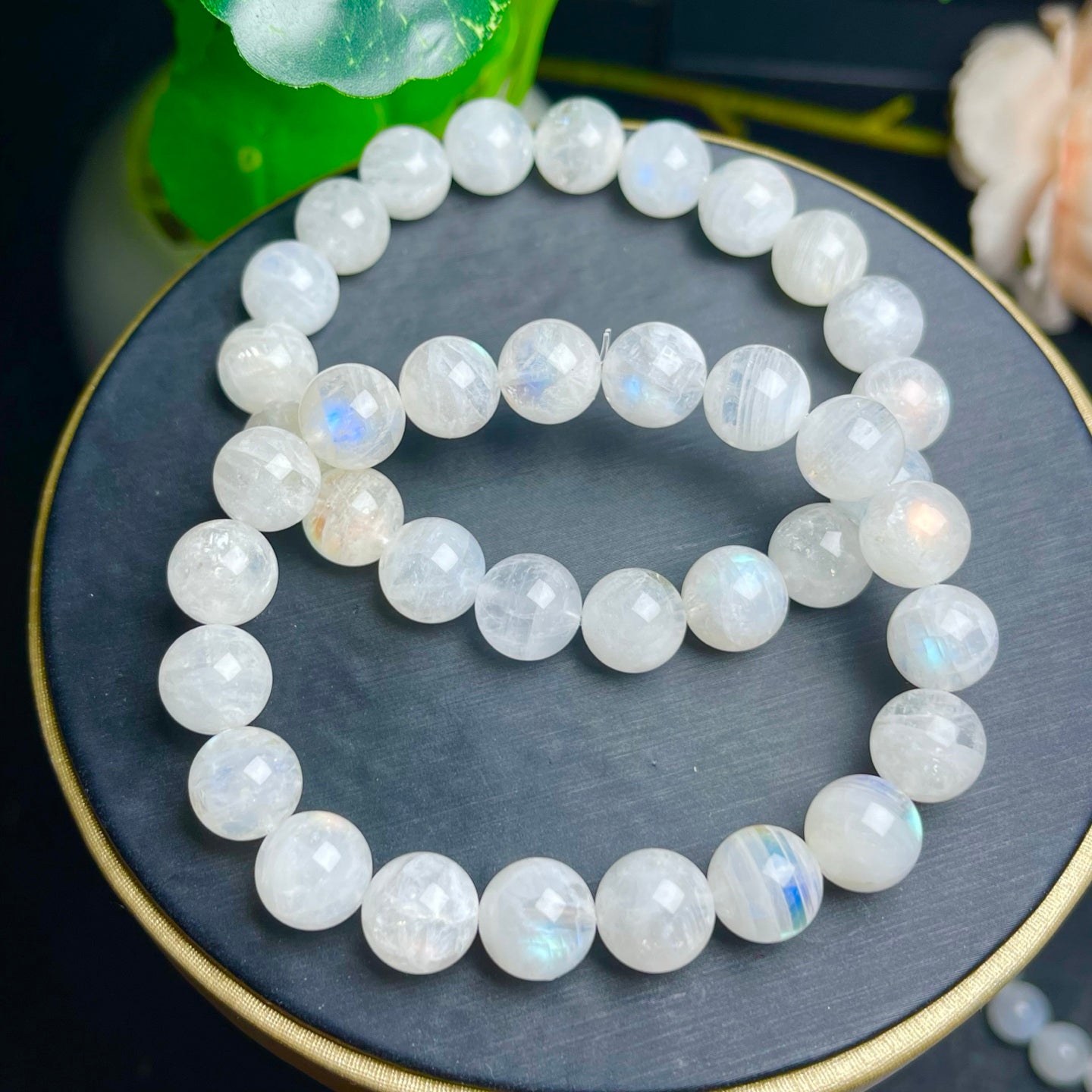 Falkland Island Moonlight Single Circle Crystal Bracelet