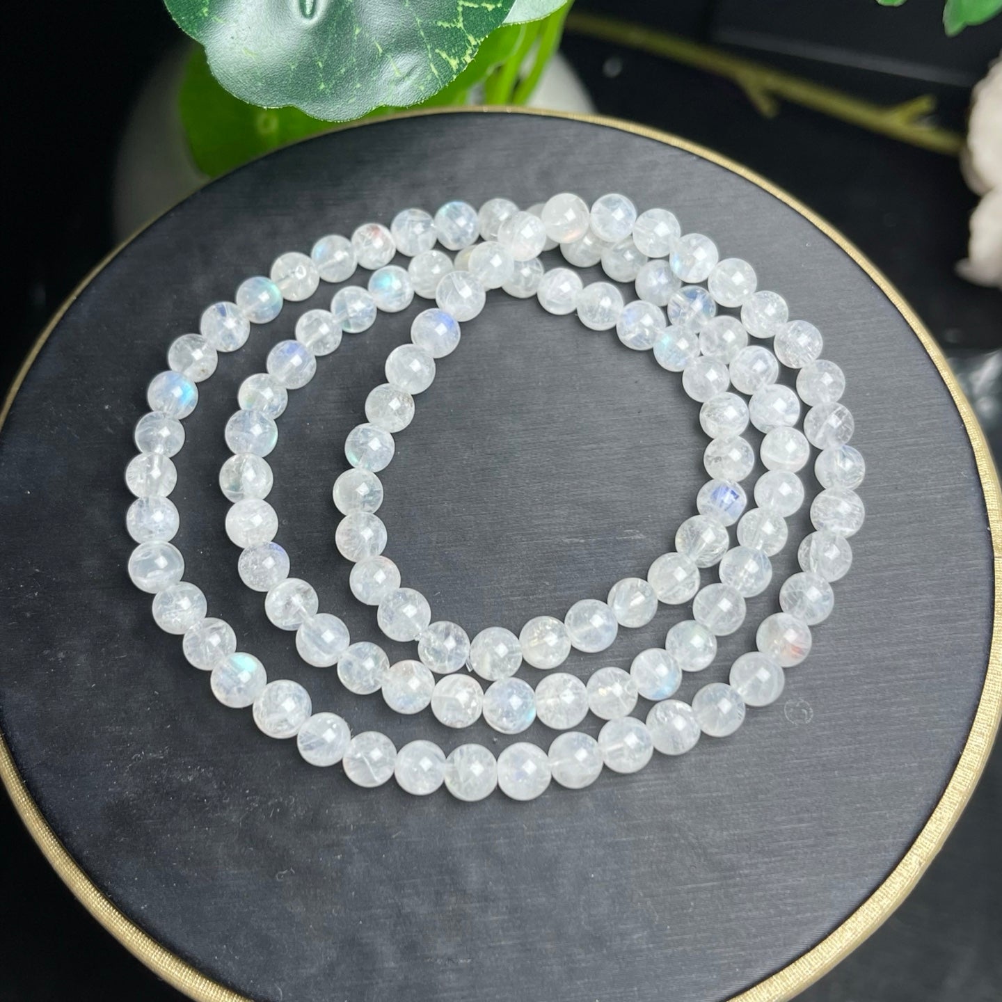 Falkland Island Moonlight Single and Multiple Circle Crystal Bracelet
