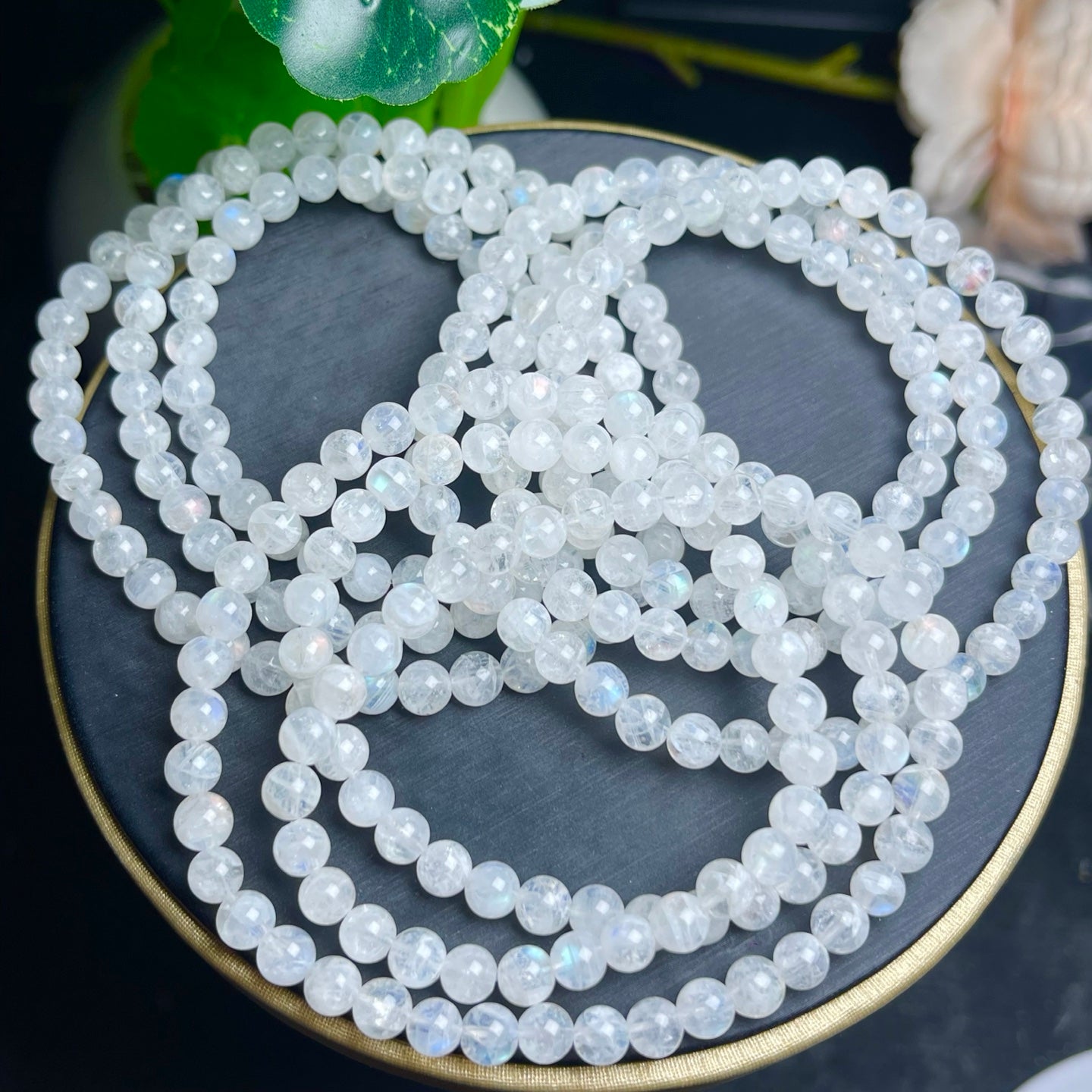 Falkland Island Moonlight Single and Multiple Circle Crystal Bracelet