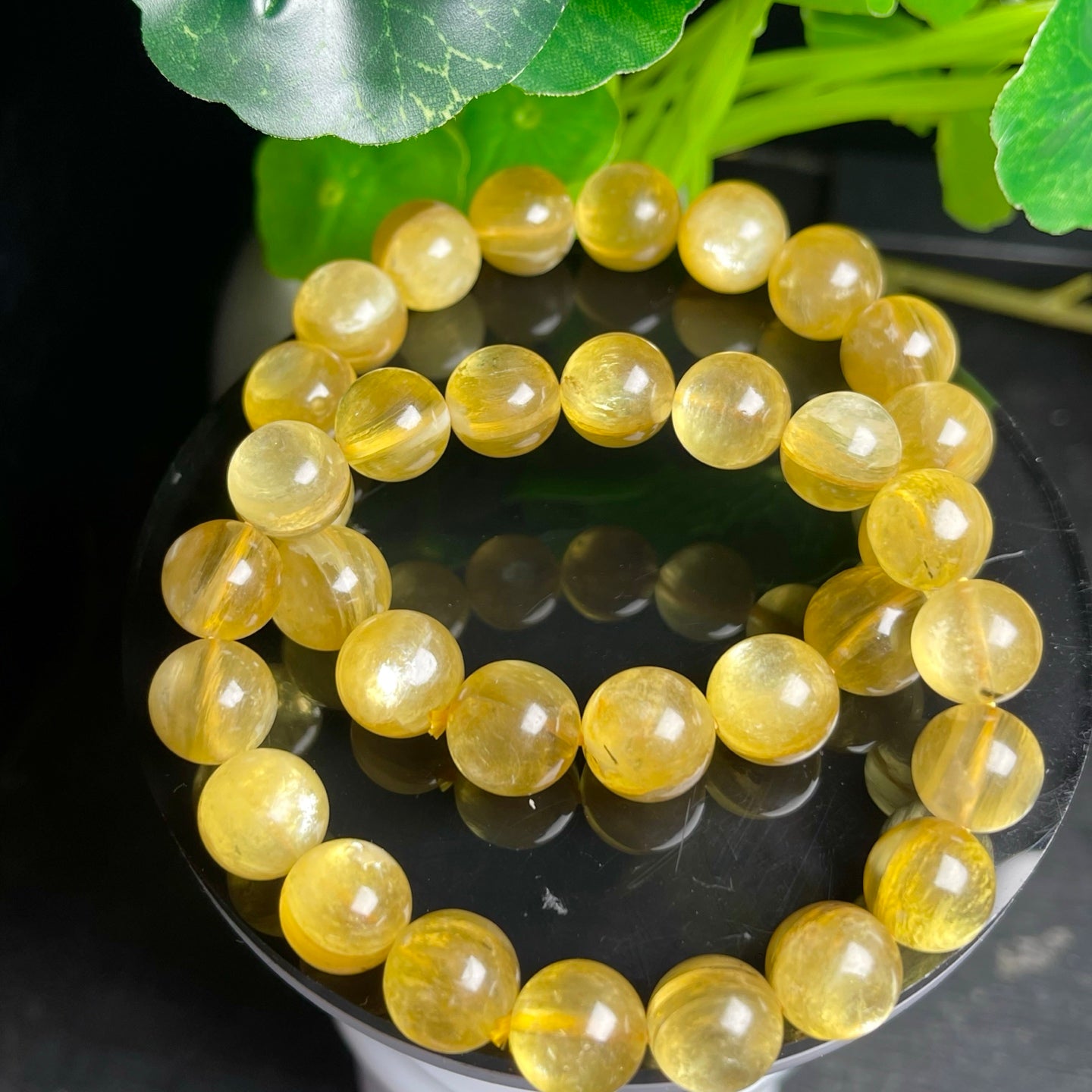 Natural gold lepidolite single loop bracelet