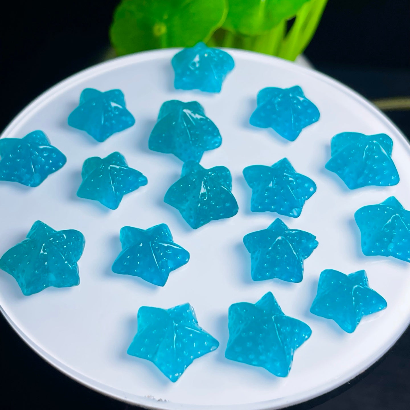 Amazonite starfish