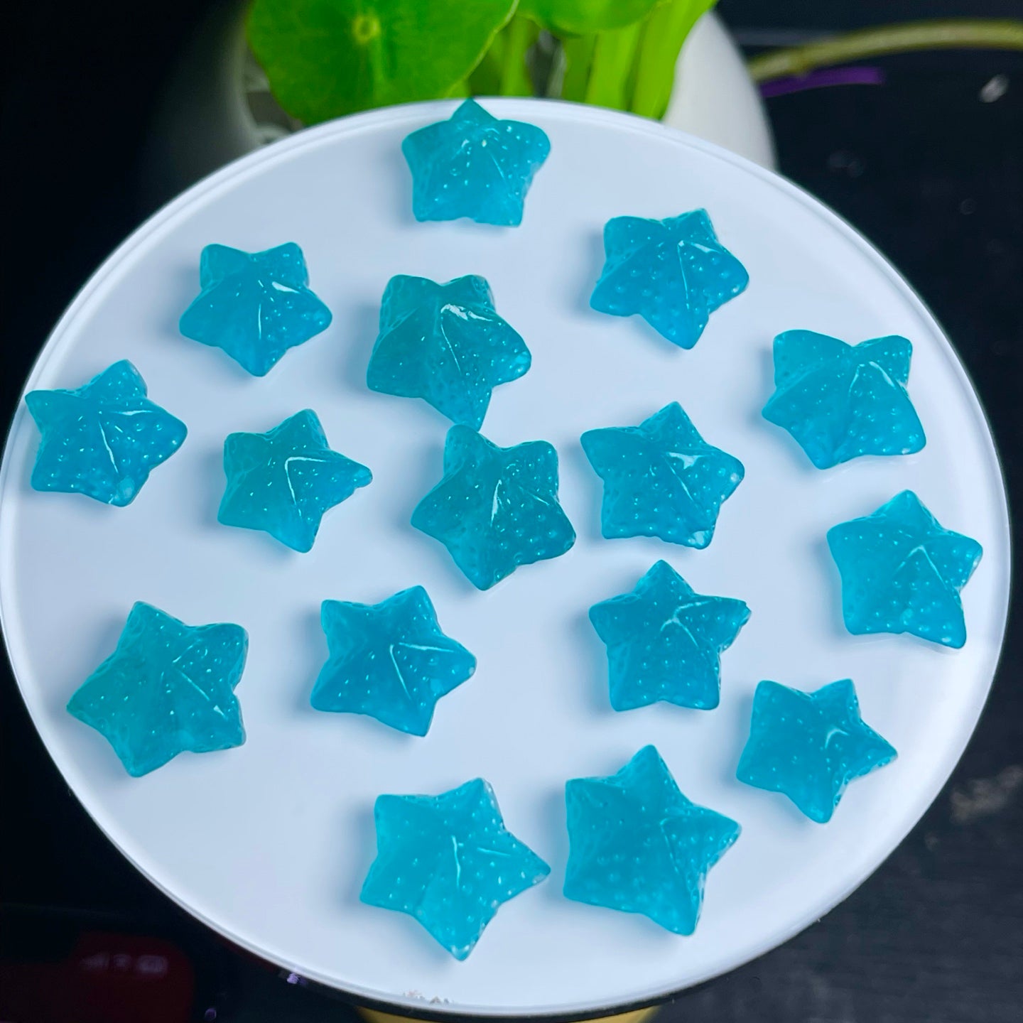 Amazonite starfish